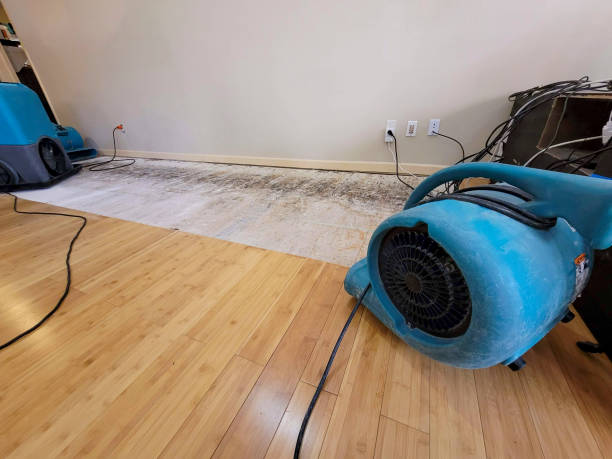 Professional Water Damage Repair technician working in Fairview, WV